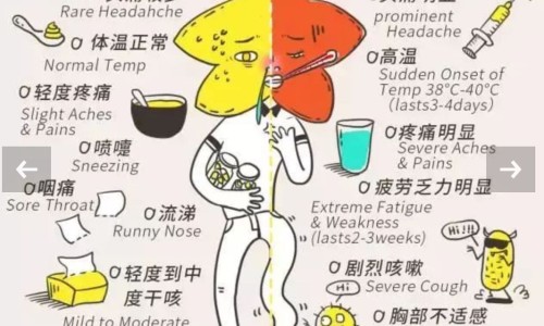 怎样增加肌肉-如何增加肌肉含量 并减脂-如何增加肌肉量最有效,中国如何增加肌肉减脂肪网站
