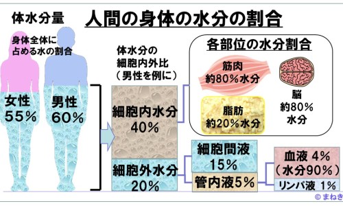 如何增加肌肉含量 并减脂-如何增加肌肉量最有效,中国如何增加肌肉减脂肪网站